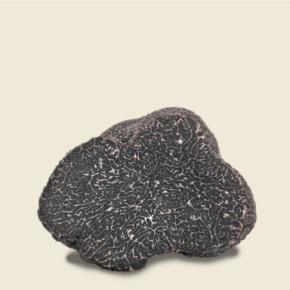 Tartufo Nero Pregiato