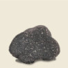 Tartufo Nero Pregiato