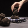 Tartufo Nero Pregiato