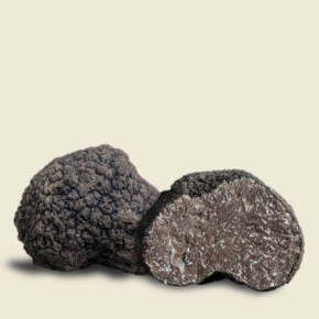 Tartufo Uncinato Fresco