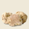 Tartufo Bianco Fresco
