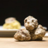 Tartufo Bianco Fresco