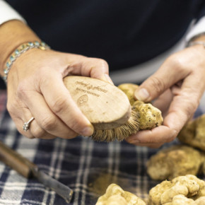 Spazzolina Pulisci Tartufo